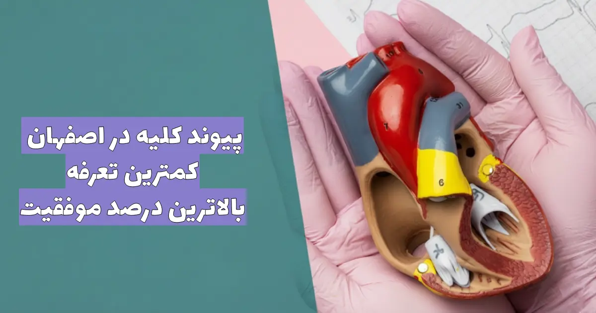 هزینه پیوند کلیه در اصفهان | کمترین تعرفه و بالاترین درصد موفقیت