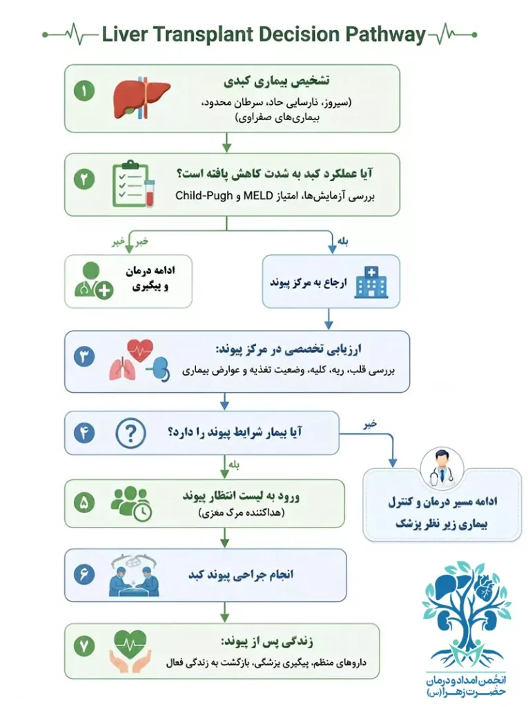 اینفوگراف مراحل آماده‌سازی برای پیوند کبد